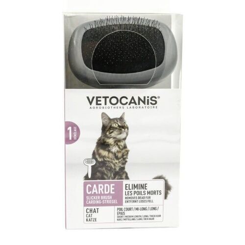 Brosse Carde pour Chat