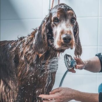 Shampoing pour chien Abricot & Miel - 1L 2