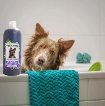 Shampoing pour chien Verveine & Passiflore - 1L 2