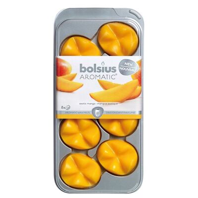 Aromatic scented wax blossoms mango