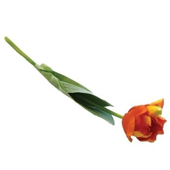 Tulipe déco 46cm orange/vert