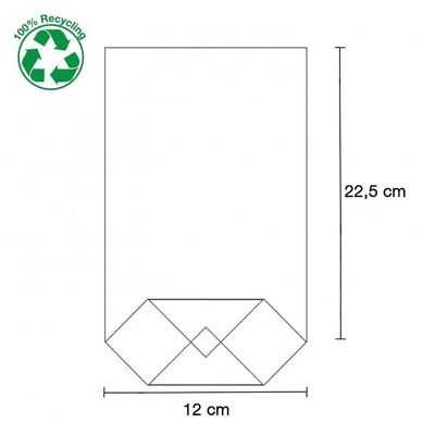 Sachet fond cellophane 120x225mm