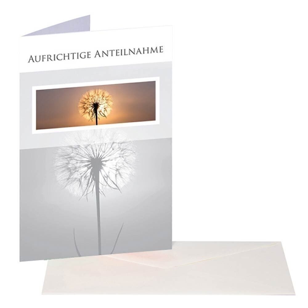 Trauerkarte Pusteblume im Sonnenuntergang