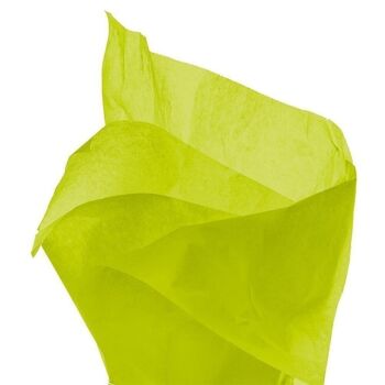 Feuille de papier de soie 50x76 cm vert clair