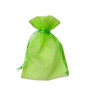 Sachet organza 12 x 17 cm - vert clair