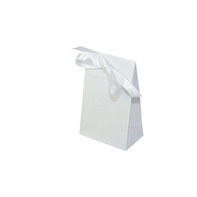 Gift bag white 100x60x157+42 mm