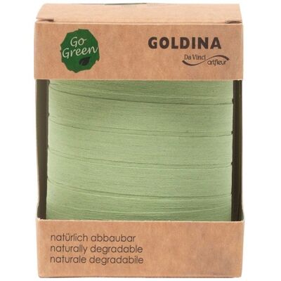 Ring ribbon biodegradable10mm/100m pastel green