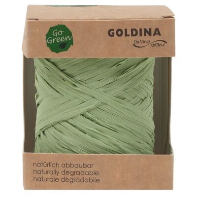 Ruban raphia biodégradable 10mm/50mètres vert pastel