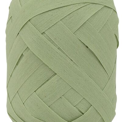 Ring ribbon biodegradable 10mm/12m Uni pastel green