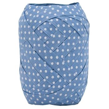 Ruban anneau biodégradable 10mm/12m pois bleu