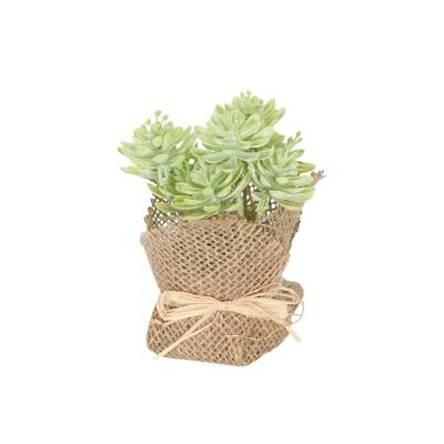 Plante décorative "Succulente" dans un sac en jute 8x8x12cm