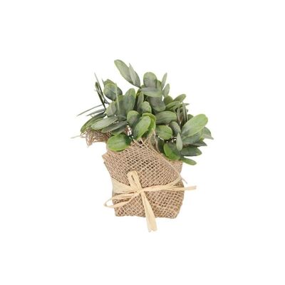 Decorative plant Always Green in a jute bag 8x8x12cm