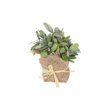 Plante décorative Always Green dans un sac en jute 8x8x12cm