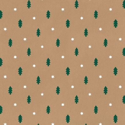 Rollo papel de regalo Stewo 50cm 50Metros Ivek