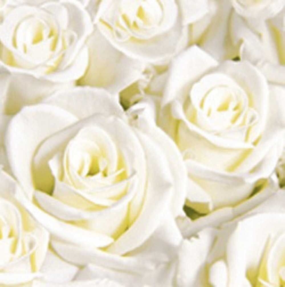 DUNI Dunisoft 40x40 cm 1/4F. Sogni bianchi