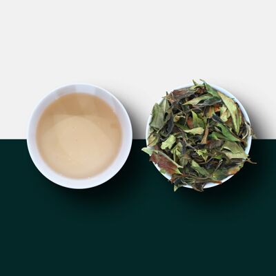 Malawian Rare White Tea - Satemwa Tea Estate - Loose Leaf 25g (approx 25 servings)