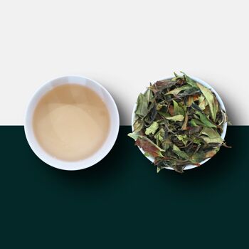 Thé blanc rare du Malawi - Satemwa Tea Estate - Feuilles mobiles 25g (environ 25 portions) 1