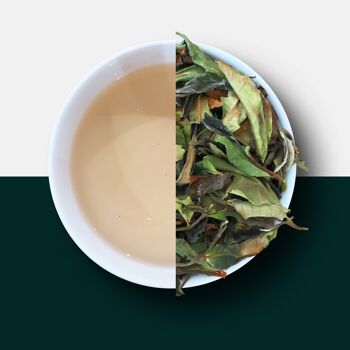 Thé blanc rare du Malawi - Satemwa Tea Estate - Feuilles mobiles 25g (environ 25 portions) 2