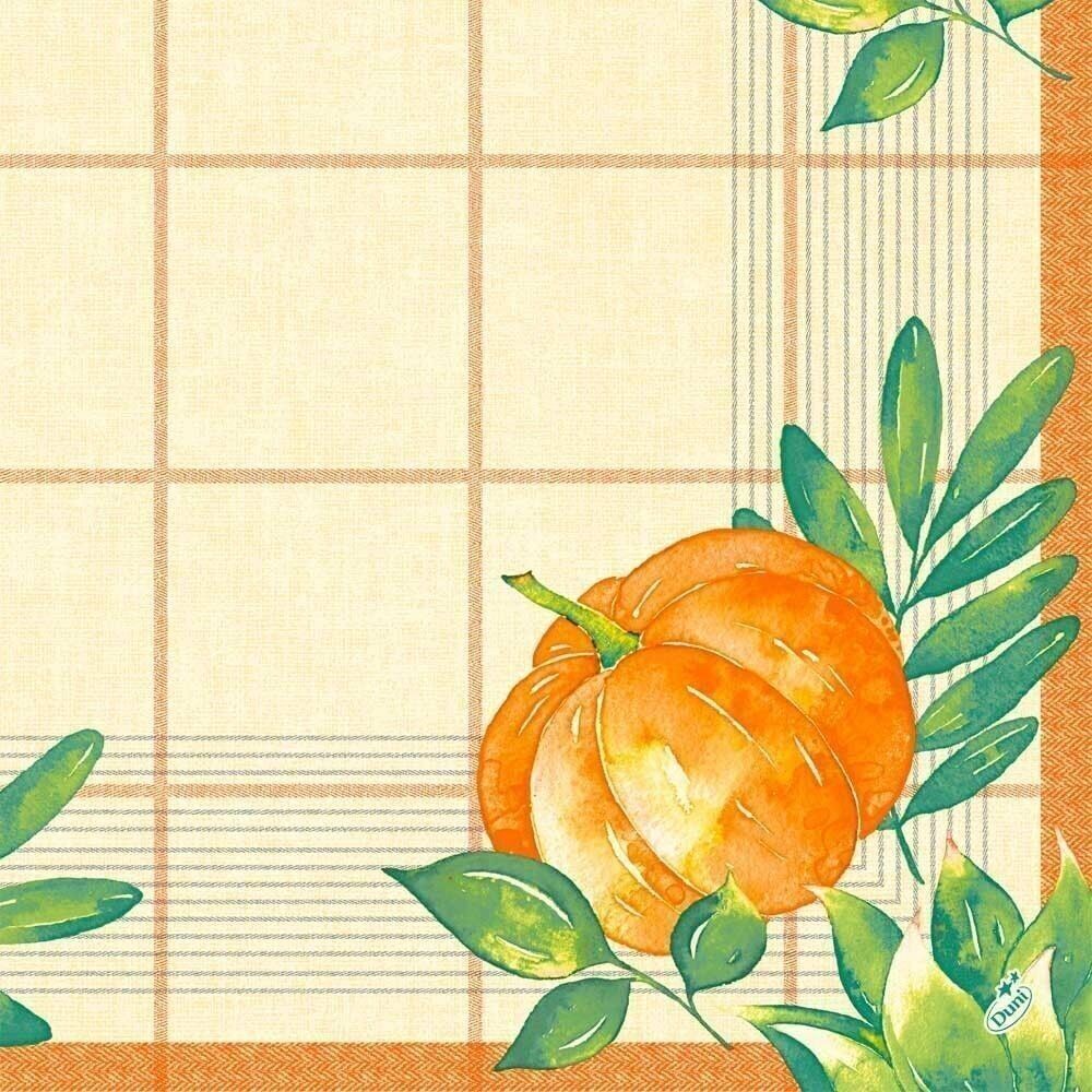 Tovagliolo in tessuto DUNI 40x40 cm 1/4F.Spice di zucca