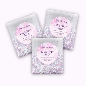 Paillettes Biodégradables - Destiny Mix - Pochette 5ml 1