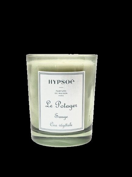 SALBEI KERZE HYPSOE DER GARTEN