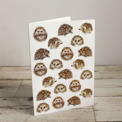 Hedgehogs Single Greeting Card