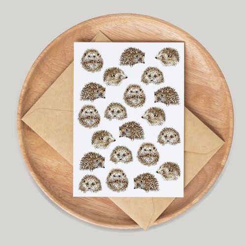 Hedgehogs Single Greeting Card