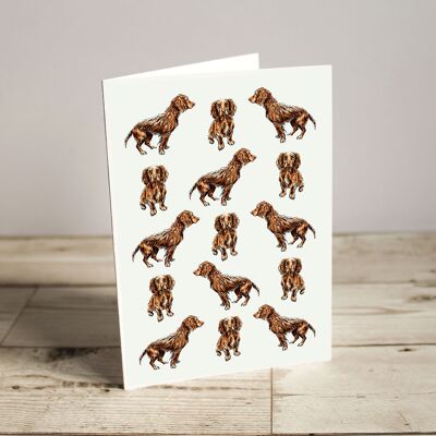 Cocker Spaniel Dog Single Greeting Card