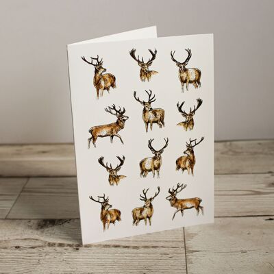 Stags Single Greeting Card