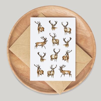Stags Single Greeting Card