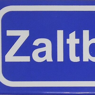 Magnete per il frigo Town segno Zaltbommel