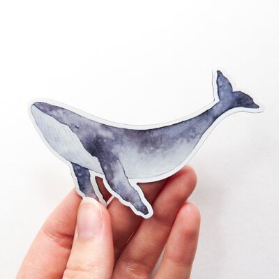 Enchanted Whale Sticker