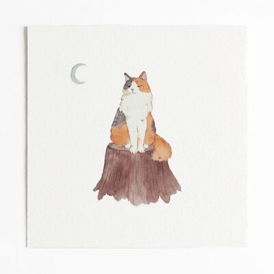 Tricolor Cat Art Print - Without envelope