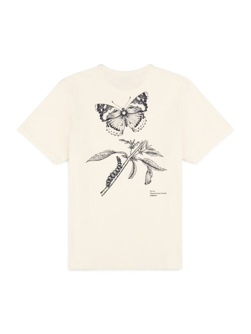 Butterfly Life Cycle T-shirt - Gyr White