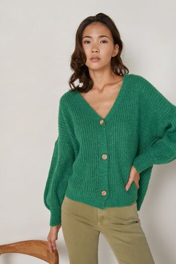 Gilet Eden Vert Bresil 1