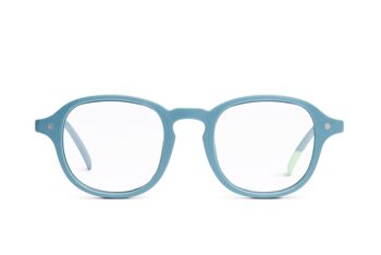 Lunettes pour écrans - Lazarev - Bleu Acier 1