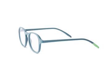 Lunettes pour écrans - Lazarev - Bleu Acier 3