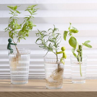 LEAFRIEND - Set of 3 cutting holders - gift - plant - nature - Mother's Day