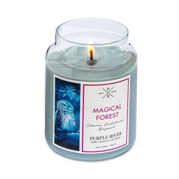 Bougie parfumée Forêt Magique - 623g 8
