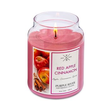 Bougie parfumée Pomme Rouge Cannelle - 623g 8