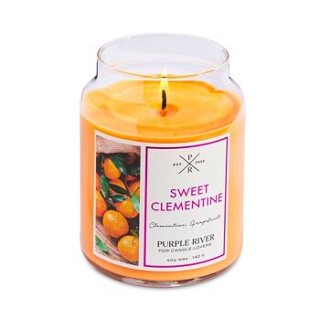 Bougie parfumée Clémentine Douce - 623g 3