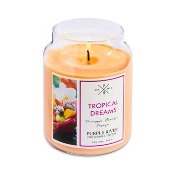 Bougie parfumée Rêves Tropicaux - 623g 3