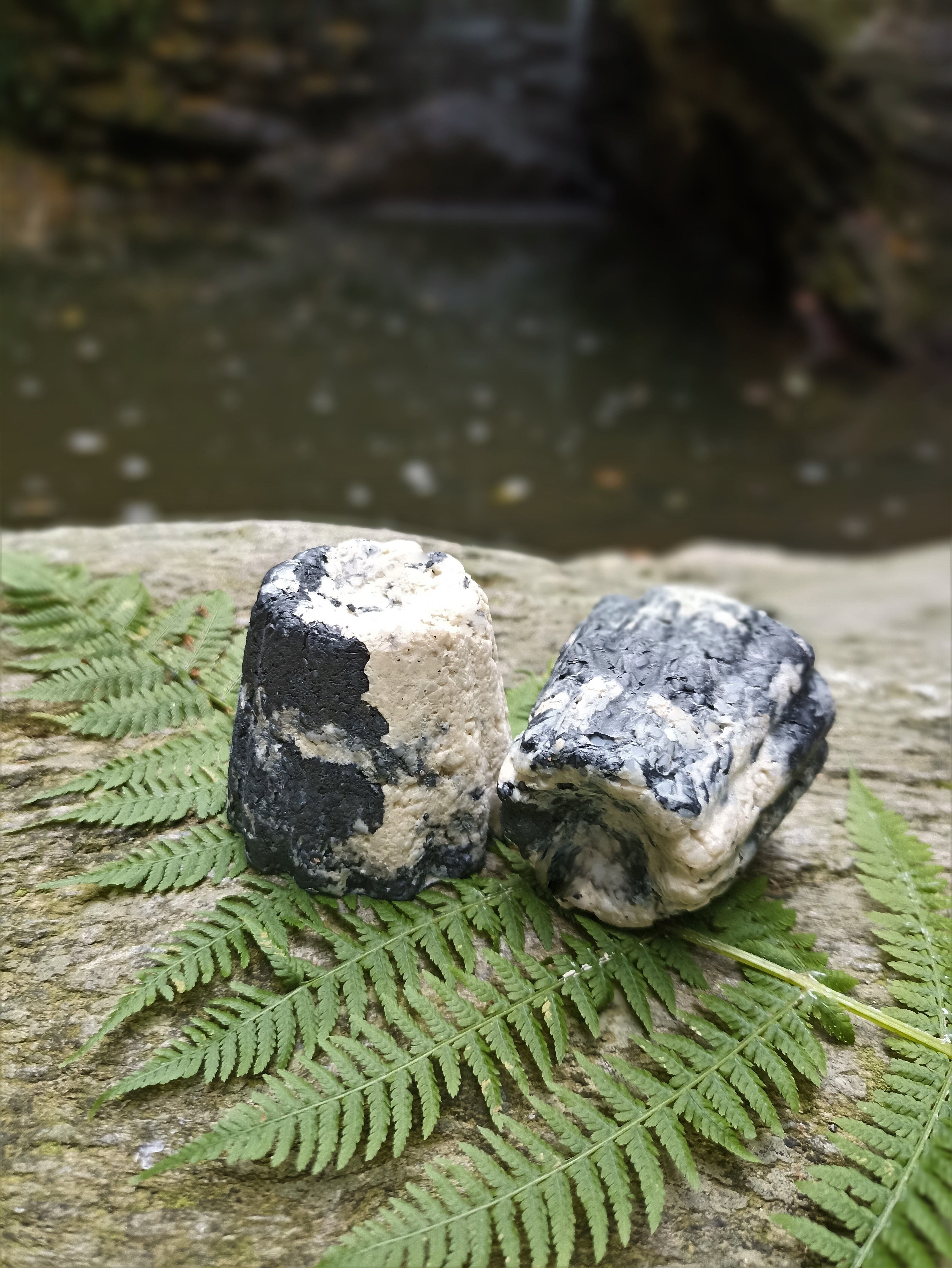 Handgemachtes Bartshampoo - Holzkohle & Teebaum