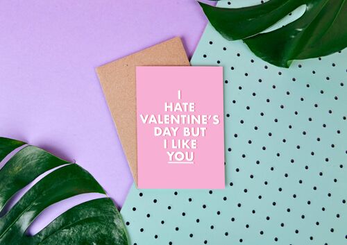 I Hate Valentines Day But I Like You - Love Card - Valentine