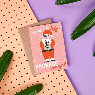 I Have a Big Package for You - Funny Santa Christmas Card