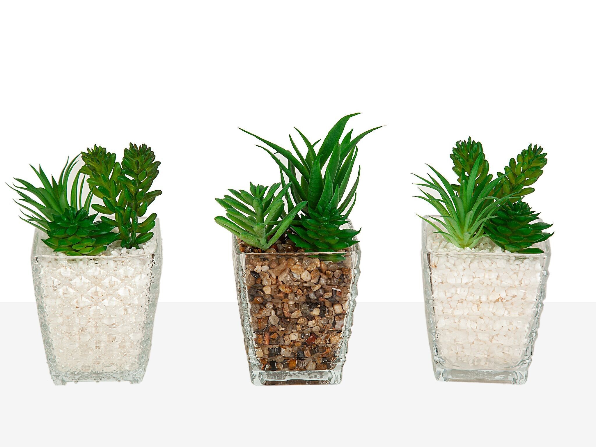 COPERCHIO VASO IN VETRO CON PIANTA (ASSORTITI) HM8553