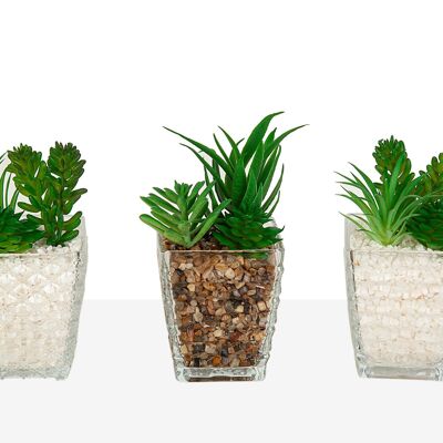 GLASS POT COVER WITH PLANT (ASSORTED) 8X8X18CM HM8553