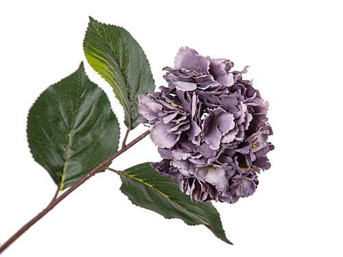 FLOR HORTENSIA MALVA POLIESTER 18X18X72CM HM92136