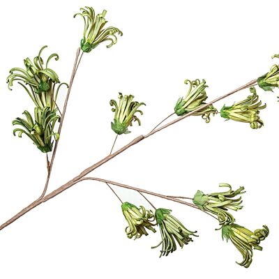 BRANCHE PETITES FLEURS VERTES HM92186
