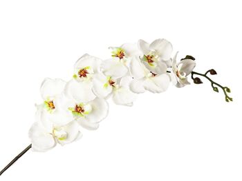 FLEUR D'ORCHIDÉE BLANCHE PVC 10X10X97CM HM92209 2